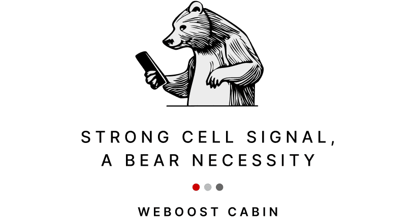 bear phone